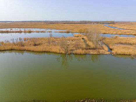 山东泰安东平湖风光