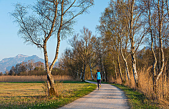 慢跑,基姆湖,圆形,小路,上巴伐利亚,巴伐利亚,德国,欧洲