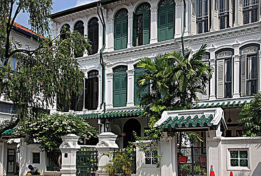 新加坡,翠绿色,山,道路,建筑