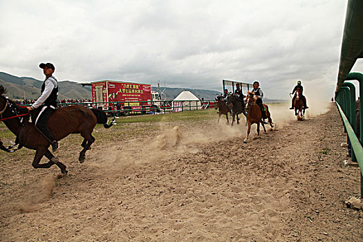哈萨克族赛马节