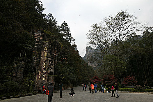 湖南张家界天子山国家森林公园