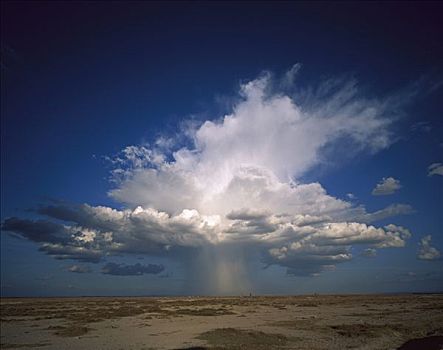 高积云,雷,头部,雨,安伯塞利国家公园,肯尼亚