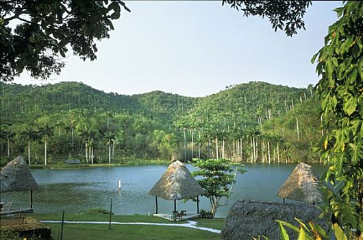 古巴,蔬菜,稻草,小屋,河岸,棕榈树