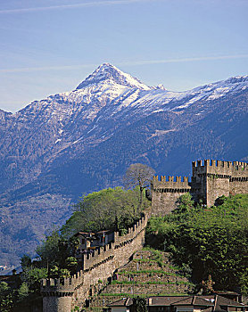 瑞士,贝林佐纳,欧洲,中欧,提契诺河,地区,城堡,安装,墙壁,要塞,防护,文化遗产