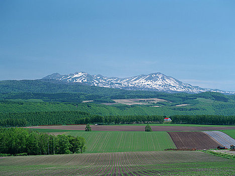 春天,山