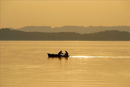 孤单,划艇,金色,夜光,基姆湖