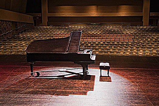 大钢琴,音乐会,舞台