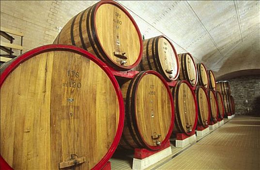 酒窖,蒙大奇诺,托斯卡纳,意大利