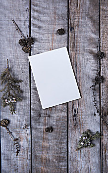 竖拍树种和空白卡片,背景素材,木纹背景,圣诞节