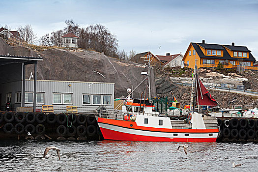 小,红色,白色,渔船,站立,停泊,挪威