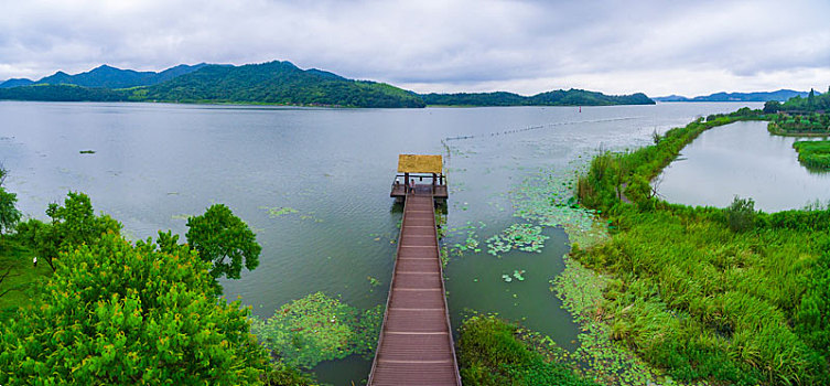 航拍,湖泊,湿地,绿色,全景