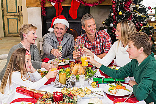大家庭,祝酒,圣诞晚餐