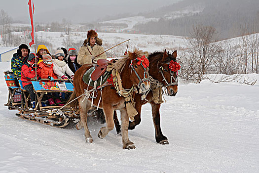 雪村马拉爬犁