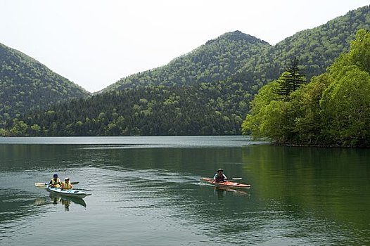 湖,绿色,独木舟