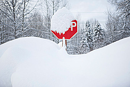停车标志,积雪,不列颠哥伦比亚省,加拿大