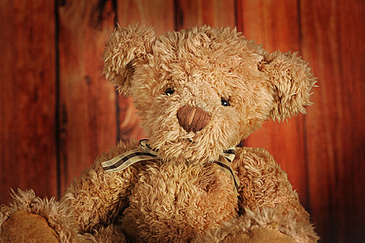 泰迪熊,褐色,花格布,蝴蝶结,奥地利,欧洲