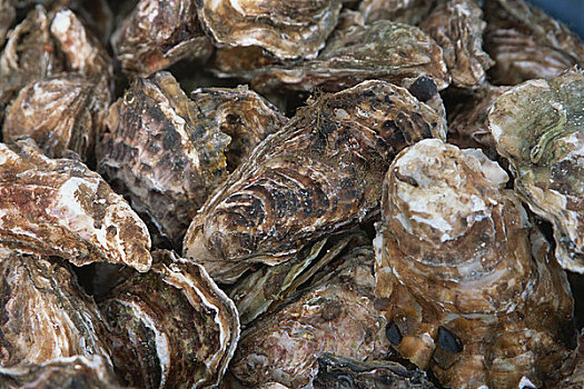 牡蛎_牡蛎图片_全景美食