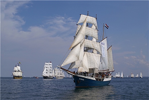 帆,赛舟会,2006年