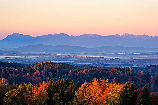 风景,靠近,阿尔卑斯山,早晨,气氛,上巴伐利亚,高山,山麓,巴伐利亚,德国,欧洲