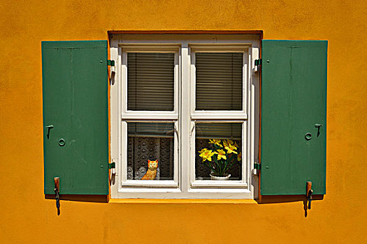 窗户,奥格斯堡,斯瓦比亚,巴伐利亚,德国