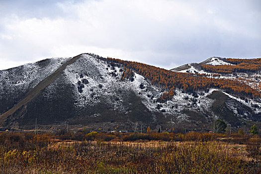 阿尔山雪景