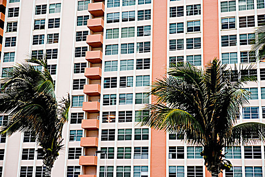 酒店,建筑,迈阿密,佛罗里达