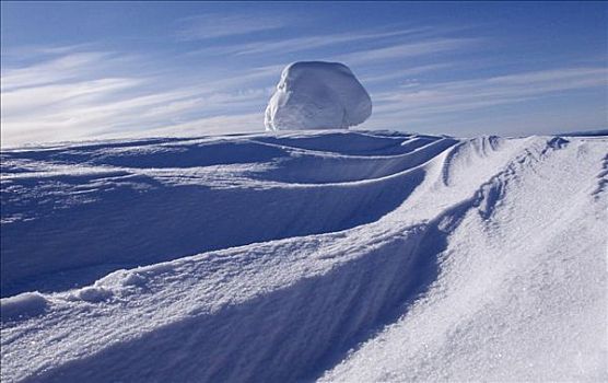 雪,排列,自然,胜地,芬兰