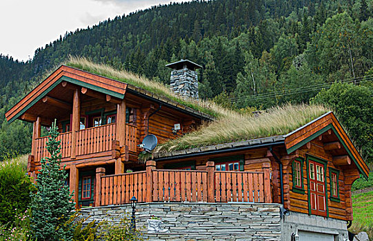 挪威,房子,旧式,草,屋顶,温暖,能量,储蓄,山