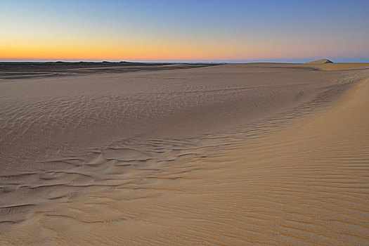 沙丘,黄昏,利比亚沙漠,撒哈拉沙漠,埃及,非洲