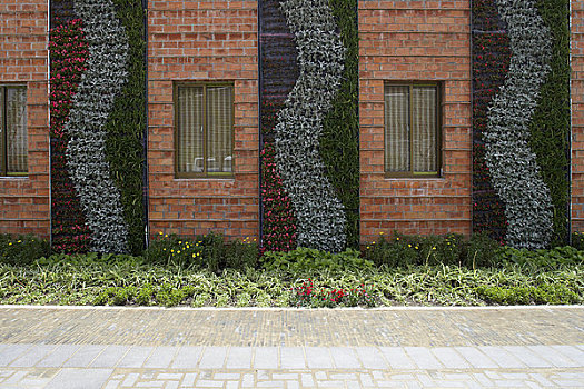 世界,上海,中国,户外,特写,展示,特征,绿色植物,局部,墙壁,设计