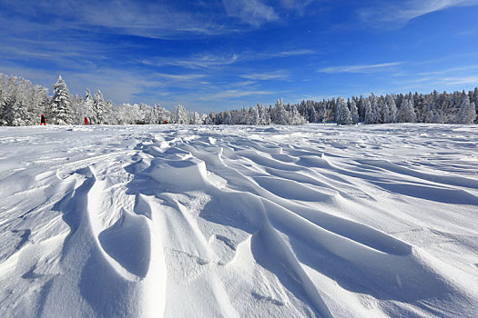 吉林省,国家森林公园,雪景