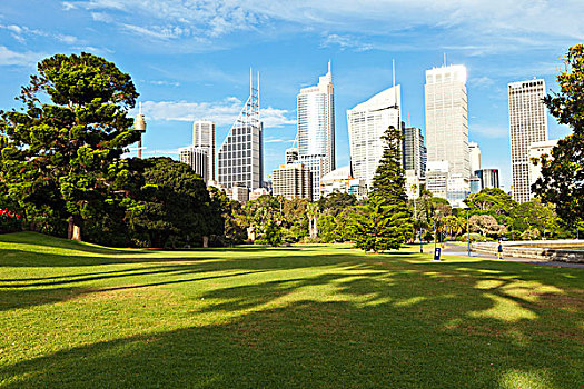 风景,悉尼,皇家植物园