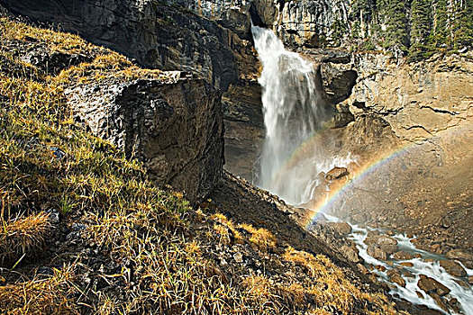 彩虹,薄雾,瀑布,班芙国家公园,艾伯塔省,加拿大