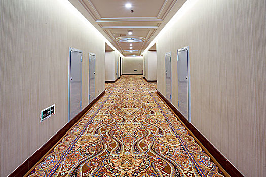 酒店走廊和地毯