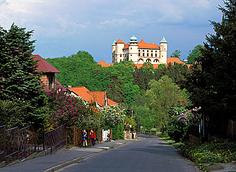 城堡,波兰,14世纪,建筑,巴洛克风格,牢固,住宅,角,塔,围绕,棱堡