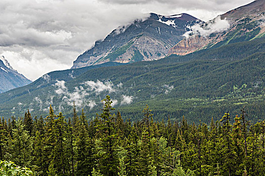 风景,树,山,阴天,瓦特顿湖国家公园,南方,艾伯塔省,加拿大