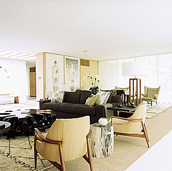 起居室,分开,两个,突出,座椅,区域,一个,看镜头,20世纪40年代,法国,扶手椅,茶几,室外,根部,柚木,树