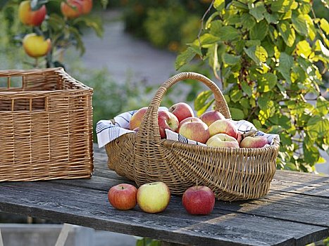新鲜,苹果,柳条篮,花园桌