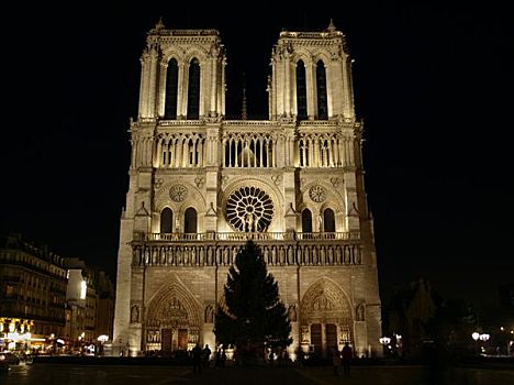 巴黎,大教堂,夜晚,建筑,法国,欧洲