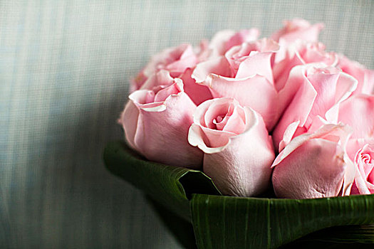 特写,花束,粉色,玫瑰