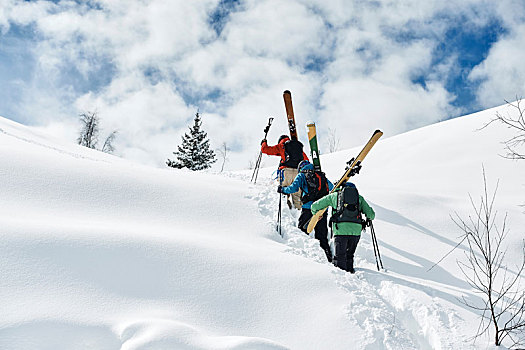 男性,滑雪,向上,积雪,山,后视图,隆河阿尔卑斯山省,法国
