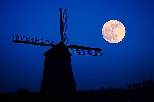风车,满月,省,北荷兰,荷兰,欧洲