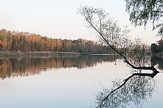 湖面