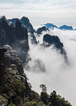 黄山冬景