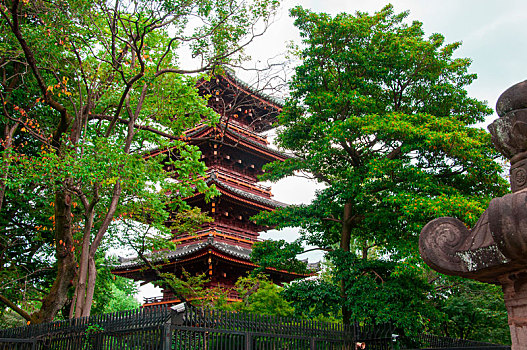 日本东京,上野东照宫的著名地标,宽永寺五重塔