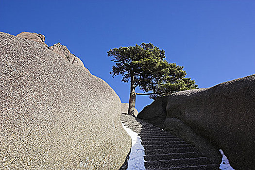 亞洲,中國,安徽,黃山,冬天