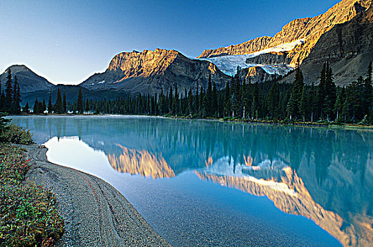弓湖,毛茛属植物,冰河,班芙国家公园,艾伯塔省,加拿大