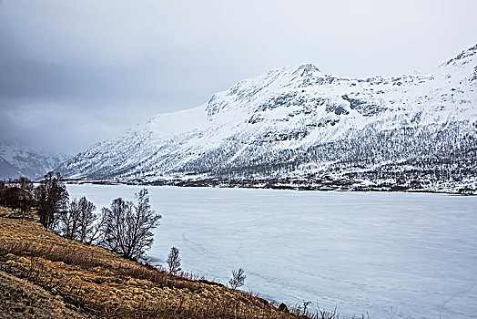 积雪,山,峡湾,挪威