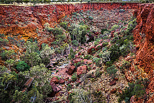 俯视,峡谷,卡瑞吉尼国家公园,西澳大利亚州,澳大利亚