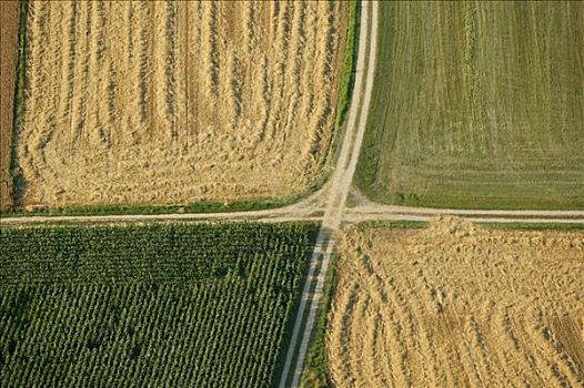 农业,小路,分开,不同,地点,巴伐利亚,德国